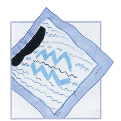 Gifts for Aquarius (January 21 - February 19)