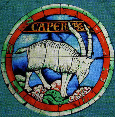 100% Silk Lausanne Cathedral Stained Glass Scarf - Capricorn